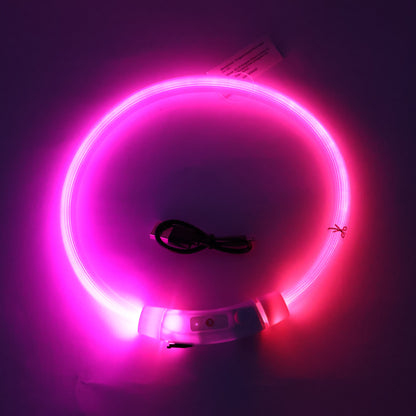 Collar LED Tubular para perrito