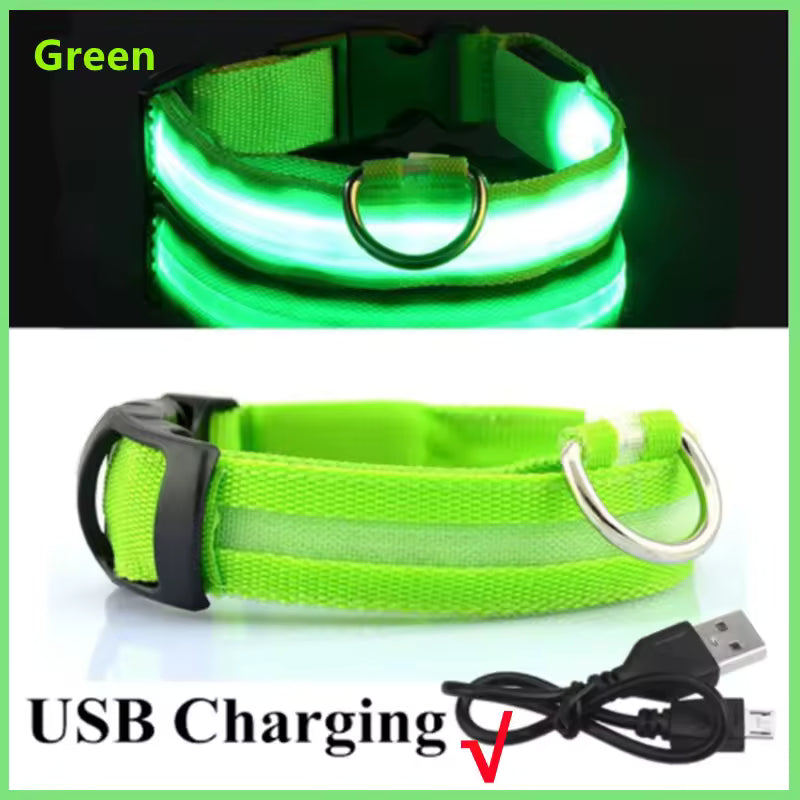 Collar LED para perrito Talla XS a XL