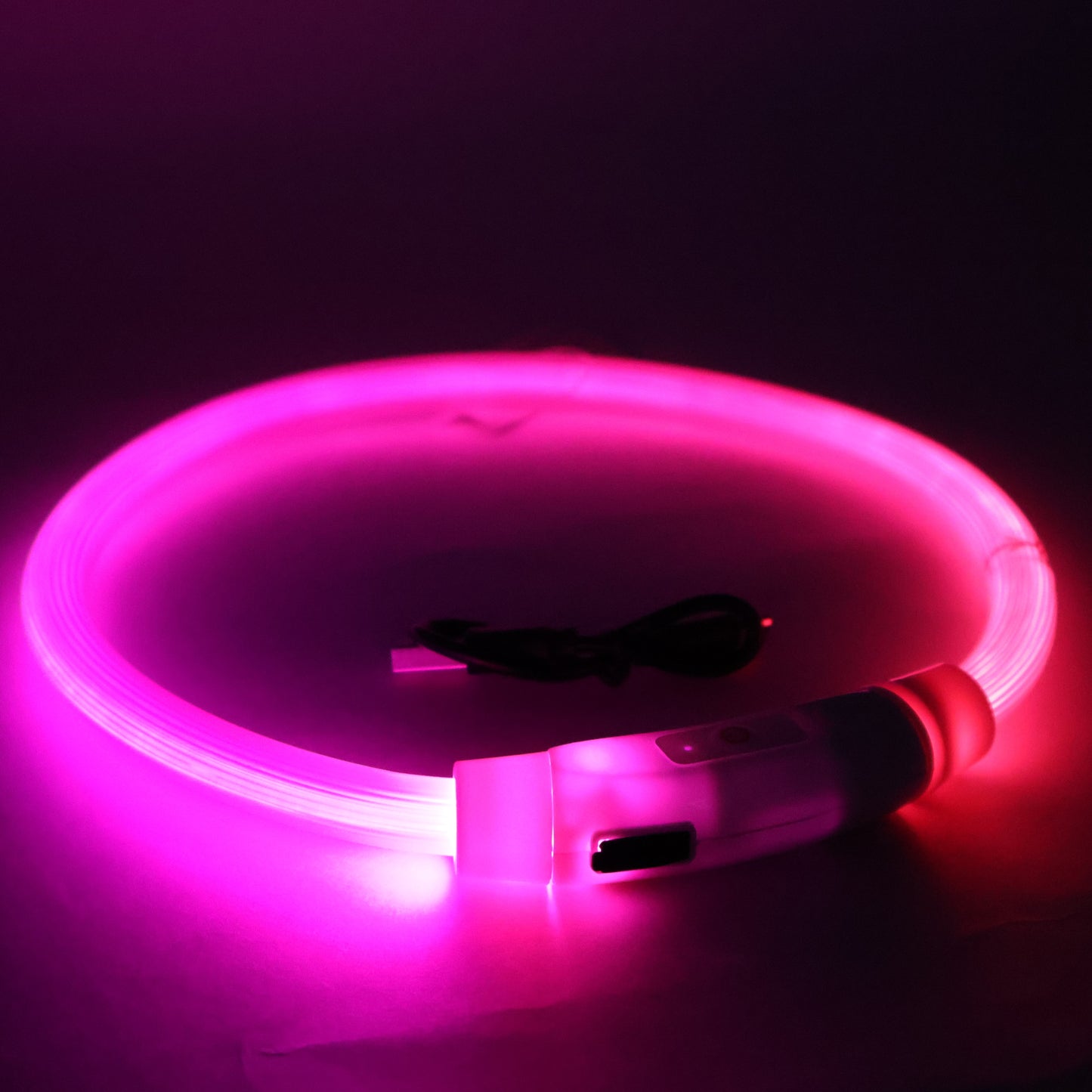 Collar LED Tubular para perrito