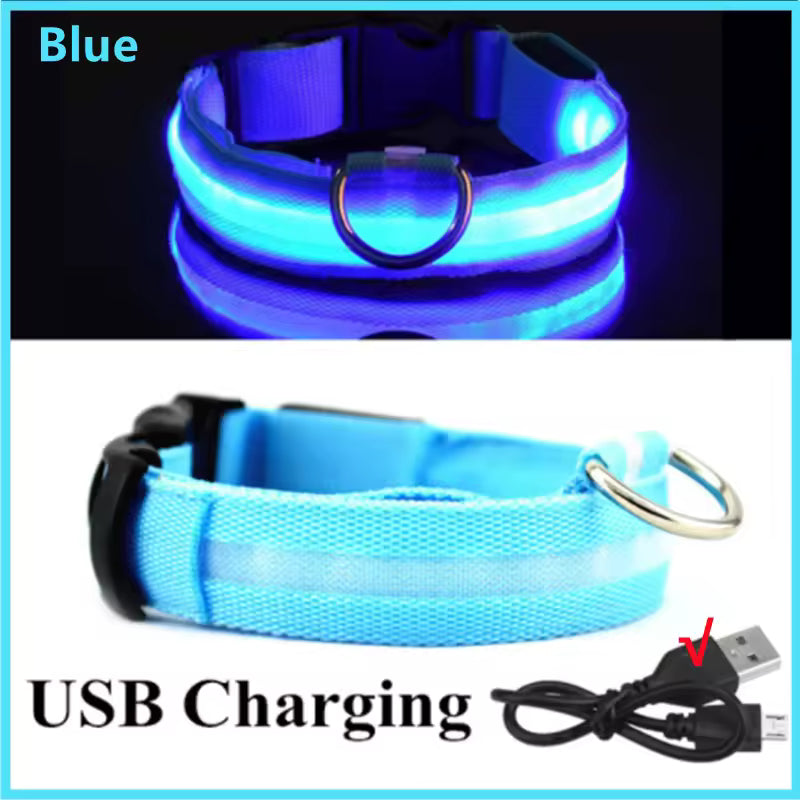 Collar LED para perrito Talla XS a XL