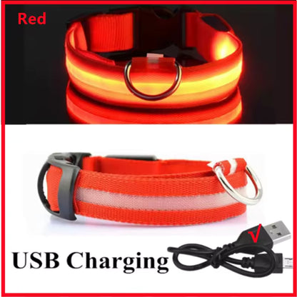Collar LED para perrito Talla XS a XL