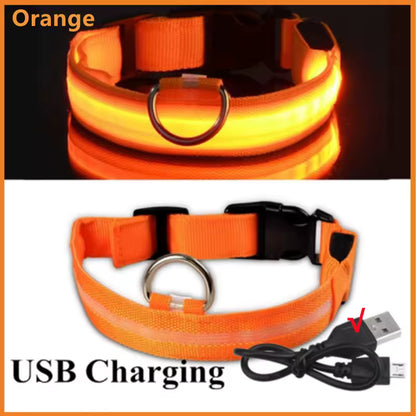Collar LED para perrito Talla XS a XL
