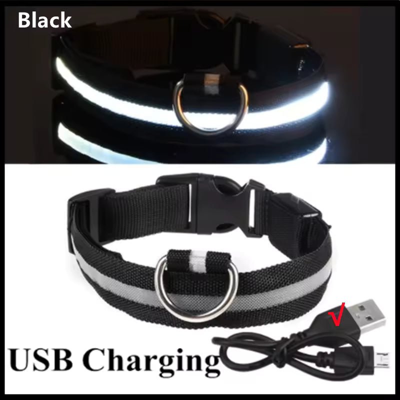 Collar LED para perrito Talla XS a XL