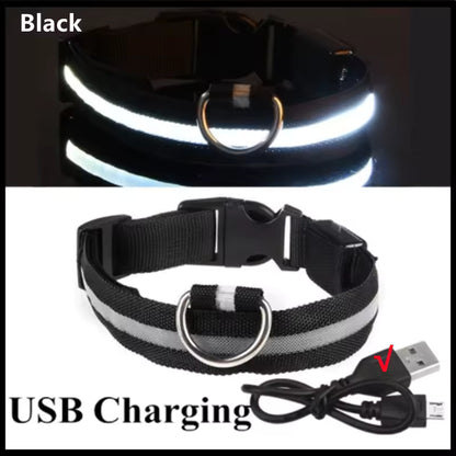 Collar LED para perrito Talla XS a XL