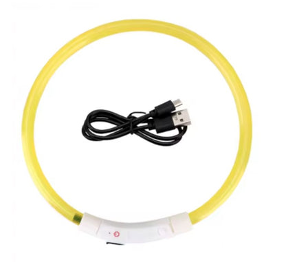 Collar LED Tubular para perrito