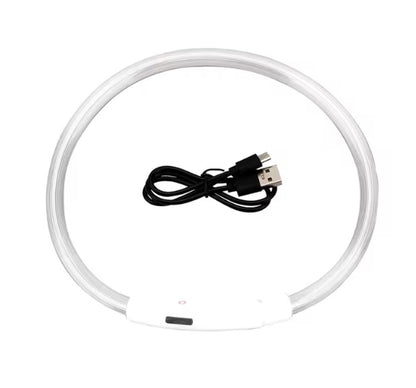 Collar LED Tubular para perrito