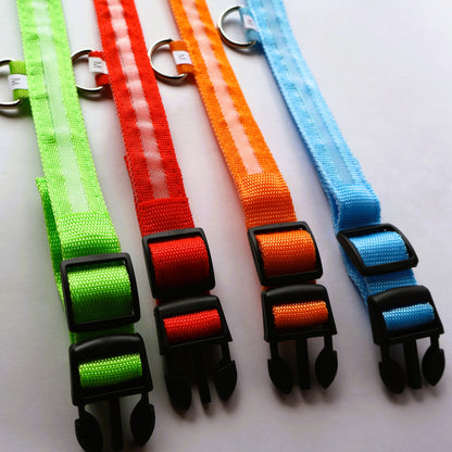 Collar LED para perrito - Talla M