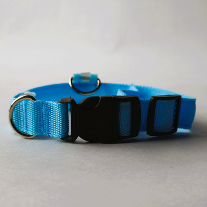 Collar LED para perrito - Talla M