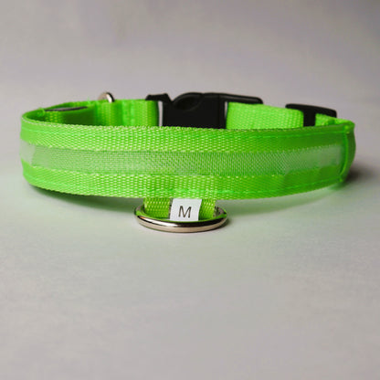 Collar LED para perrito - Talla M