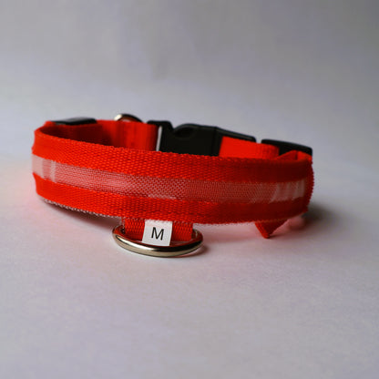 Collar LED para perrito - Talla M