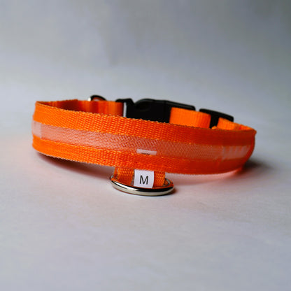 Collar LED para perrito - Talla M