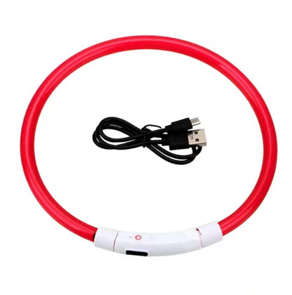 Collar LED Tubular para perrito