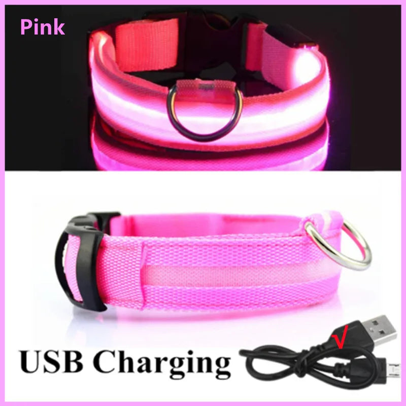 Collar LED para perrito Talla XS a XL